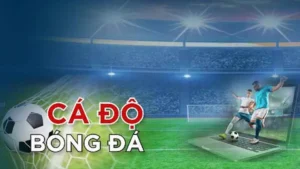 Bí Mật Tìm Hiểu Cá Cược Bóng Đá W88 Tăng Tỷ Lệ Thắng