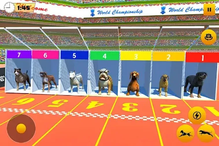 Bí Kíp Tăng Tỷ Lệ Thắng Cách Chơi Game Nhanh Đua Chó Tại W88 Chuẩn